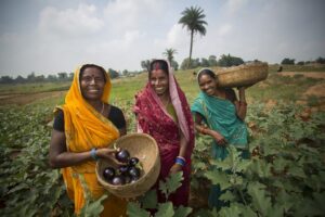 भारत की आधी आबादी का कृषि में बड़ा योगदान, पढ़े विस्तृत रिपोर्ट