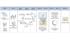 6dca1298-ffb6-434f-99ab-0ef0e59d1464